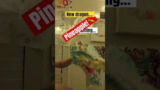 New dragon is finally here sorry for the long wait😅😅🥲…100 sub dragon [upl. by Nnyled]