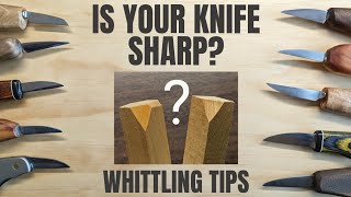 How to Tell if Your Knife is Sharp  Whittling Tips [upl. by Olivero264]