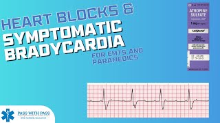 Heart Blocks amp the Bradycardic ACLS Algorithm  Symptomatic Bradycardia [upl. by Hildegard]