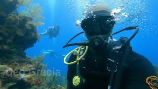 Roatan Honduras Scuba Diving the wife coral reef [upl. by Asilrac]