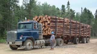 The Forestry Industry in Atlantic Canada [upl. by Kcajyllib8]