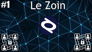 Une vidéo une crypto  Le Zoin [upl. by Rube]