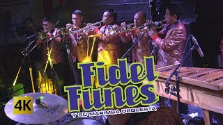 Fidel Funes y su Marimba Orquesta  36 Años 4K [upl. by Yraeg52]