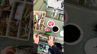 BASS Swallows Hook 🪝largemouthbass fishing bassfishing senko [upl. by Latoya]