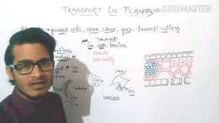 Mechanism of transpiration [upl. by Paluas]