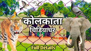 कोलकाता का चिड़ियाघर 🤔  Alipur Zoo  Kolkata Zoo Vlog 2022 🤗 [upl. by Girardo]