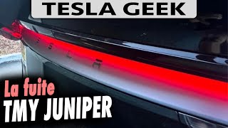 TESLA Model Y 2025 JUNIPER découvert [upl. by Enyt963]