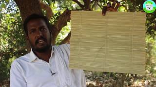 தர்ப்பைப் புல்லின் மகத்துவம்  தெப்ப புல் பாய்  Tharpai pul  Tharuppai pul  Darbha grass mat [upl. by Odranar]