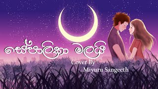 Sepalika Malai සේපාලිකා මලයි Cover By Miyuru Sangeeth [upl. by Horlacher]