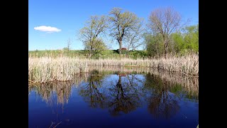 Kayaking Rush Lake near Oshkosh Wisconsin [upl. by Paresh]