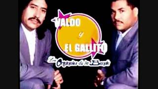 VALDO Y EL GALLITO CUANDO SALGO A LOS CAMPOS [upl. by Sirromad]