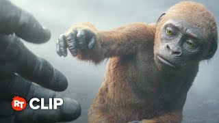 Godzilla x Kong The New Empire Movie Clip  A Helping Hand 2024 [upl. by Lewendal]