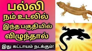 பல்லி நம் உடலில் இந்த பகுதியில் விழுந்தால் இது கட்டாயம் நடக்கும்   palli vilum palangal in tamil [upl. by Cathy]