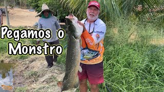 Pescando pirarucu gigante no tanque [upl. by Daht]