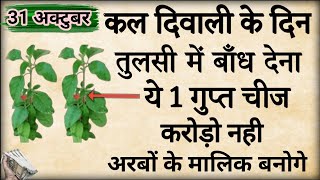 31 अक्टूबर कल दीपावली की रात तुलसी में बांध देना ये 1 चीज बनोगे करोड़पति Pradeepmishra upay [upl. by Chu]