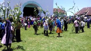 El baile del elote Cholula hidalgo [upl. by Seagrave]