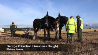 Horse PowerClydesdale Horses Ploughing Wheat Stubble in the Scottish Borders [upl. by Falconer]