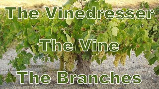 The Vinedresser The Vine amp The Branches [upl. by Eirak]