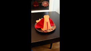 Turkey Napkin Fold Origami shorts [upl. by Ellehcin86]