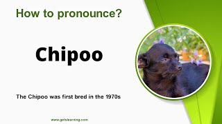 How to pronounce Chipoo Correctly in English [upl. by Opalina802]