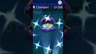 ✨Shiny Clamperl Spawn Again❗ But this time🤩🤩 Pokemon Go  shortspokemonpokemongo [upl. by Tingley491]