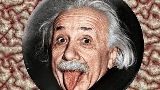 Einsteins ENORMOUS Brain [upl. by Dorey403]