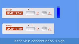 Coronavirus Antibody Test  Animated Video [upl. by Carlo]