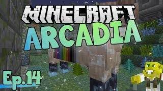 Dat Quest Ram though  Minecraft Arcadia  Ep14 [upl. by Ahsienel]