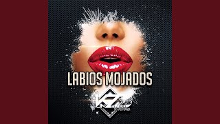 Labios Mojados [upl. by Narual]