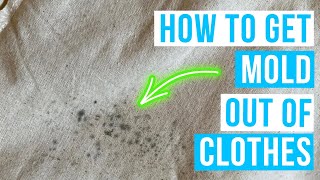 How to GET MOLD OUT OF CLOTHES  mold stains removal [upl. by Anivahs919]