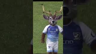 elvenado suchitepéquez guatemalatravel futbol merengue music [upl. by Yeruoc137]