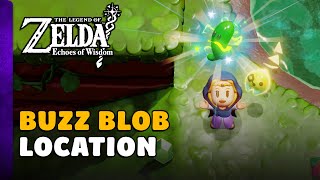 Zelda Echoes Of Wisdom  Buzz Blob Echo Location [upl. by Nylcaj]