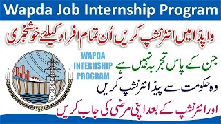 Internship Program in WAPDA 2024  How to Apply for Wapda Internship Program 2024  Wapda Internship [upl. by Laehcimaj712]