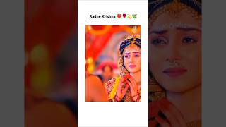 Radha Krishna serial status🌿💥 radha krishna song❤️radha krishna video🌿radhakrishnasadvideoshorts [upl. by Davenport]