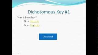 How to use a dichotomous key [upl. by Fancy]