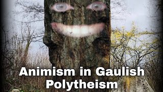 Animism in Gaulish Polytheism [upl. by Noiwtna]