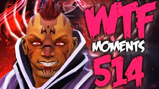 Dota 2 WTF Moments 514 [upl. by Ailgna]