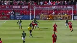 Sebastian Giovinco Goal  May 23 2015 [upl. by Snahc]