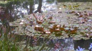 GIVERNY  Maison et Jardins de Claude Monet [upl. by Cote]