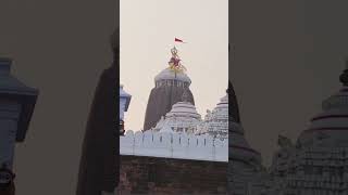 Jagannath temple Puri Jagannath status Jagannath short video jagannath puri manasgaan [upl. by Alenairam938]