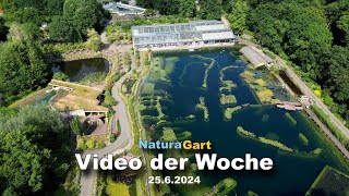 Video der Woche 2562024 [upl. by Ariamo979]