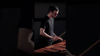 Nagoya Marimbas Part 3 music percussionensemble percussion classicalmusic stevereich [upl. by Virgy]