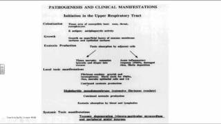 Corynebacterium diphtheriae [upl. by Shien115]