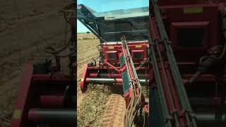 JOHN DEERE 6190J COM COLHEITADEIRA TWIN MASTER 2 LINHAS SAFRA 20182019 [upl. by Airamahs]