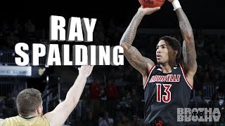 Ray Spalding Junior Highlights  Louisville Cardinals 201718 ᴴᴰ [upl. by Aratnahs]