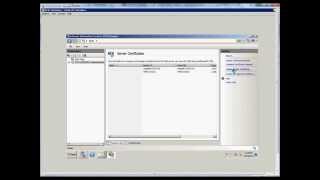 How to remove a domain certificate in IIS on a Windows 2008 R2 server [upl. by Acirem]