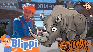 Blippi Visits The Zoo  Learning Zoo Animals For Kids  Educational Videos For Toddlers [upl. by Rukna603]