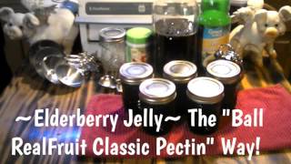 Canning Elderberry Jelly [upl. by Meedan]