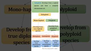 Haploid and Aneuploidy [upl. by Pickering52]