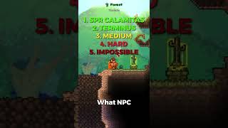 Can you answer to these calamity questions terraria tmodloader [upl. by Thenna]